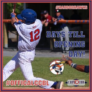 Image post by @harborhawks on Instagram