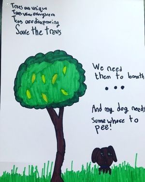 Image post by @playboulder on Instagram