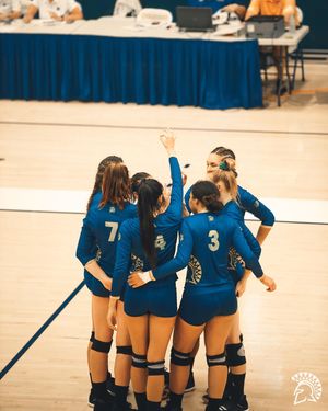 Image post by @sanjosestatevb on Instagram