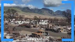 Video post by @newsnation on YouTube