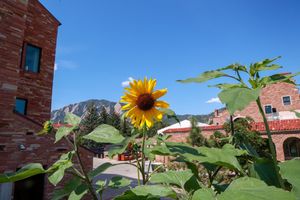 Image post by @cuboulder on Instagram