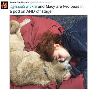 Image post by @playhousesquare on Instagram