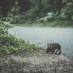 Image post by @arianneprendesfotos on Instagram