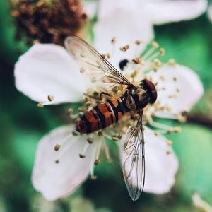 Image post by @moment on Instagram