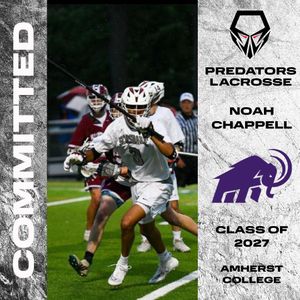 Image post by @predatorslacrosse on Instagram