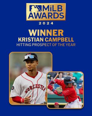 Image post by @MiLB on Twitter