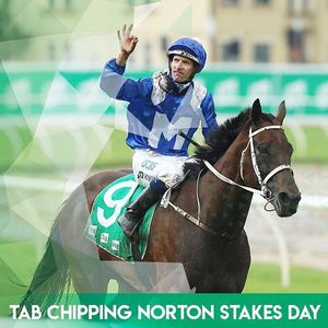 Image post by @australianturfclub on Instagram