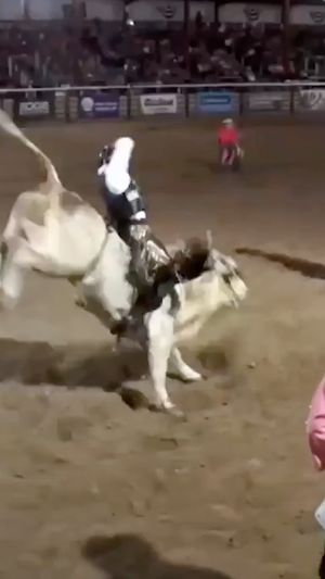 Video post by @PRCAProRodeo on Facebook