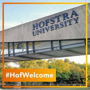 Image post by @hofstrau on Instagram