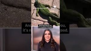 Video post by @accuweather on YouTube