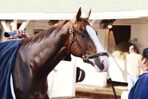 Image post by @spendthriftfarm on Instagram