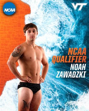 Image post by @hokiesswimdive on Instagram