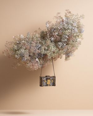Image post by @louisvuitton on Instagram