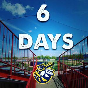 Image post by @burlington_bees on Instagram
