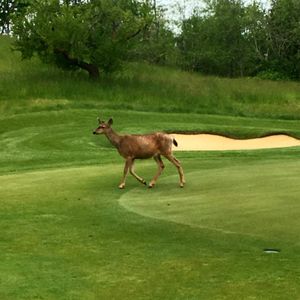 Image post by @kevin_chappell on Instagram