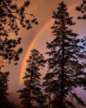 Image post by @nauflagstaff on Instagram