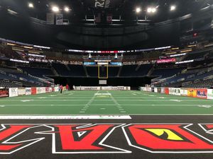 Image post by @jaxsharks on Instagram