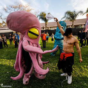 Image post by @beyondwland on Instagram