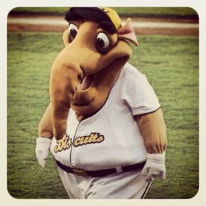 Image post by @biscuitbaseball on Instagram
