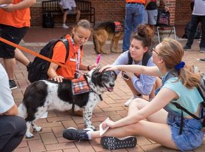Image post by @okstatereslife on Instagram
