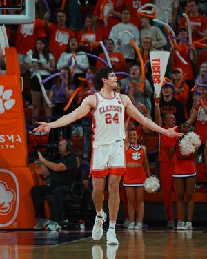 Image post by @cutigervision on Instagram