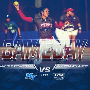 Image post by @fausoftball on Instagram