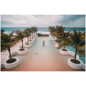 Image post by @truegoatphoto on Instagram