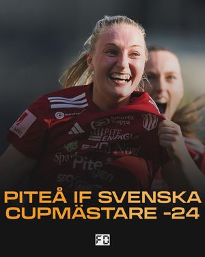 Image post by @fotbolldirekt on Instagram