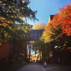 Image post by @umbclife on Instagram