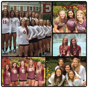 Image post by @elonvb on Instagram