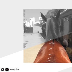 Image post by @performancesaddlefitssthsydney on Instagram