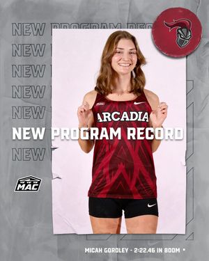 Image post by @arcadia_knights on Instagram