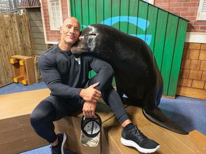 Image post by @therock on Instagram