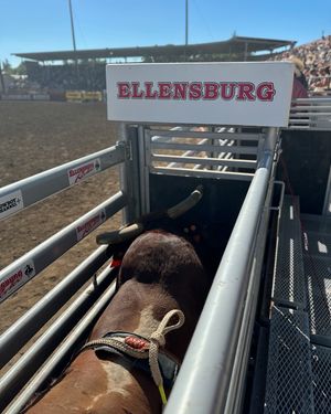 Image post by @ellensburgrodeo on Instagram
