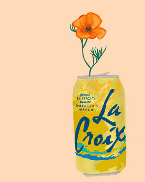 Image post by @lacroixwater on Instagram