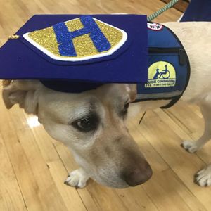 Image post by @hofstrau on Instagram