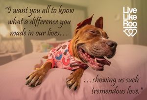 Image post by @LiveLikeRoo on Facebook