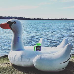 Image post by @redrivervalleyfair on Instagram