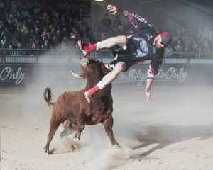 Image post by @bullfightersonly on Instagram