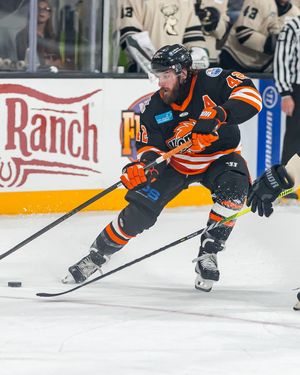 Image post by @fwkomets on Instagram