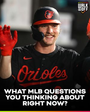 Image post by @brwalkoff on TikTok