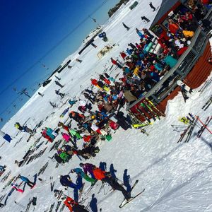 Image post by @snaffle_it on Instagram