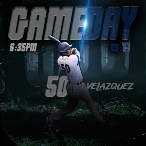Image post by @duluthhuskies on Instagram
