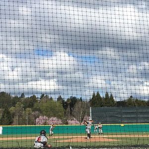 Image post by @csunbaseball on Instagram