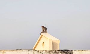 Image post by @mmhammond on Instagram