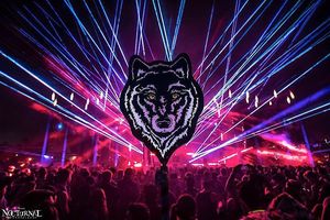 Image post by @nocturnalwland on Instagram