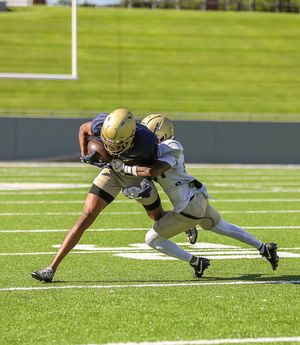 Image post by @zipsfb on Instagram
