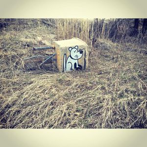 Image post by @chrishaven on Instagram