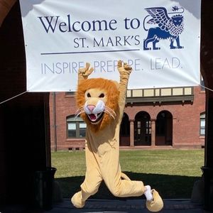 Image post by @smlions on Instagram