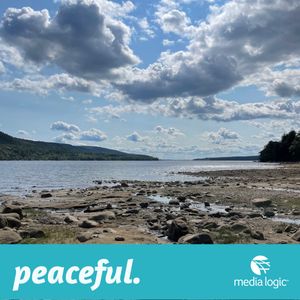 Image post by @media_logic on Instagram
